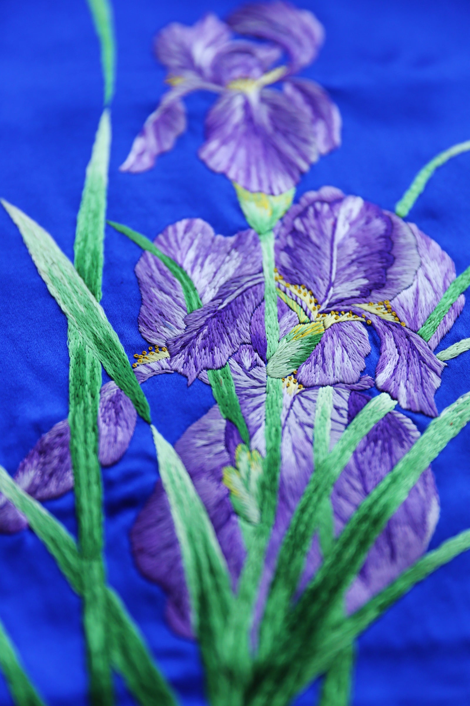 Close-up image of hand-embroidered iris on royal blue ao dai pants. 