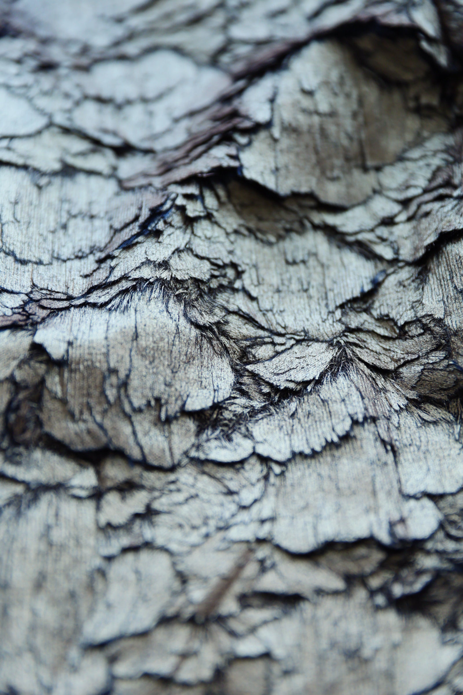 Close-up of Italian leaf-texture gold silk used in Tang suit jacket.